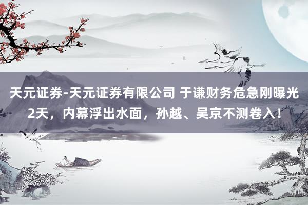 天元证券-天元证券有限公司 于谦财务危急刚曝光2天，内幕浮出水面，孙越、吴京不测卷入！