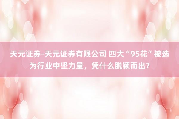 天元证券-天元证券有限公司 四大“95花”被选为行业中坚力量，凭什么脱颖而出？